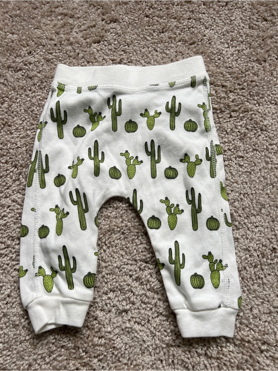 Monica & Andy Other - Monica & Andy Cactus Pants 3-6M